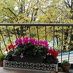 住宿加早餐酒店 菲奥利塔别墅
