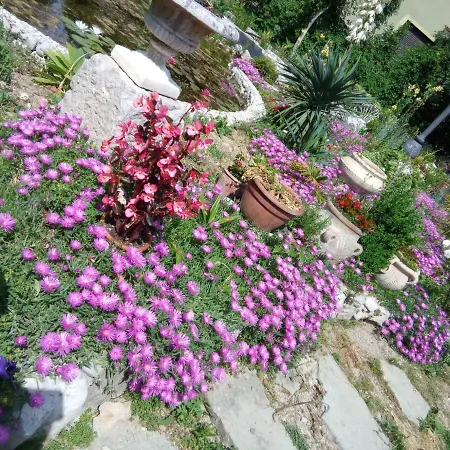 Fiorita Bed & Breakfast