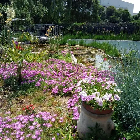 Fiorita Bed & Breakfast