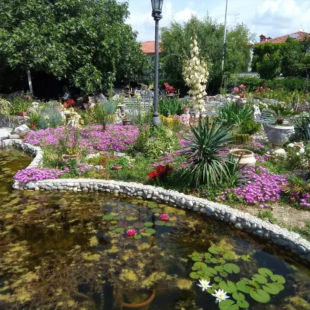Fiorita Bed & Breakfast 2*