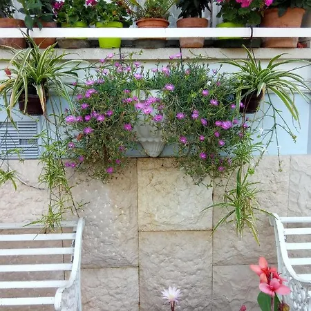 Fiorita Monfalcone