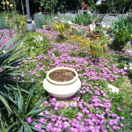 Fiorita Bed & Breakfast