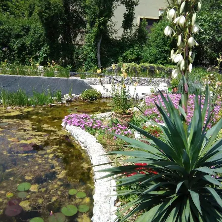 Fiorita 2*