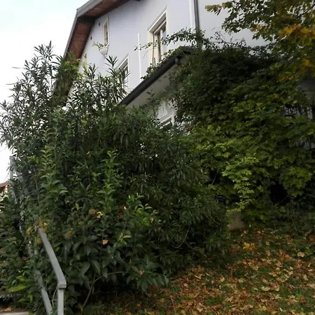 Fiorita 2* Monfalcone