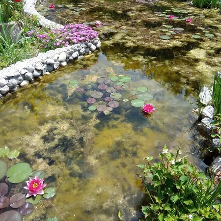 Bed & Breakfast Fiorita Monfalcone