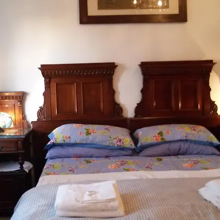 Fiorita מונפלקונה