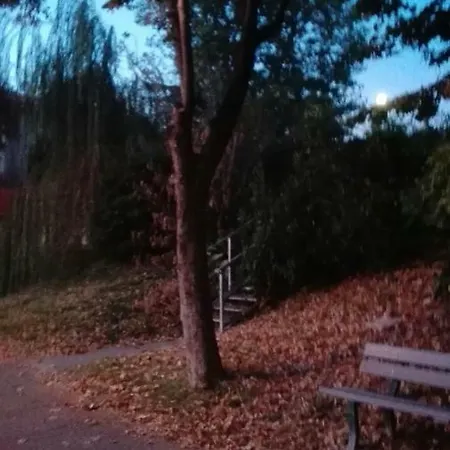 Fiorita לינה וארוחת בוקר